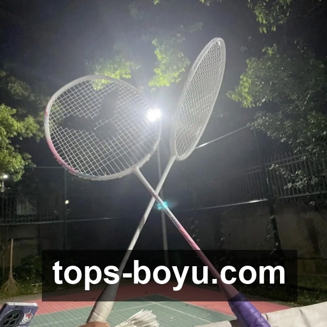 BOYU SPORTS平台展示图